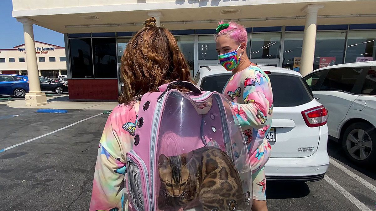 Candy Ken: Video für deutsche Fans - Insta-Account für's ungeborene Baby