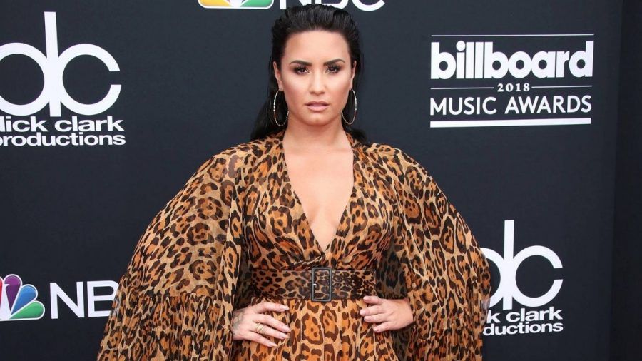 Demi Lovato: Diese Stars unterstützen sie nach emotionalen Geständnis