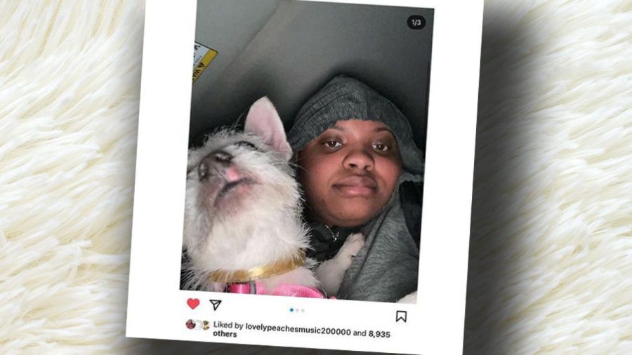 Verhaftet: Influencerin Lovely Peaches bricht Welpen Bein - für mehr Follower!