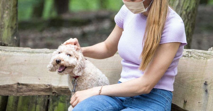 Damit beim Hund nicht nur Genuschel ankommt, sollten Hundebesitzer unter der Maske klar und deutlich sprechen.