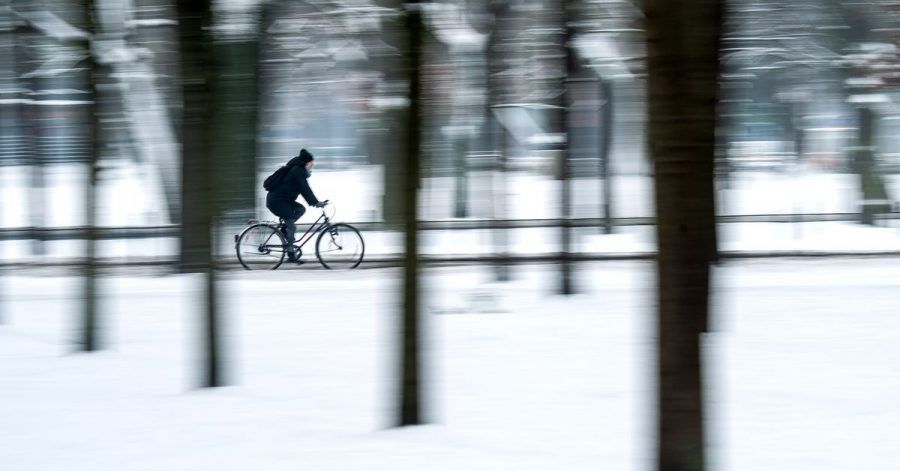Eine Radfahrerin fährt durch den verschneiten Bürgerpark in Bremen.