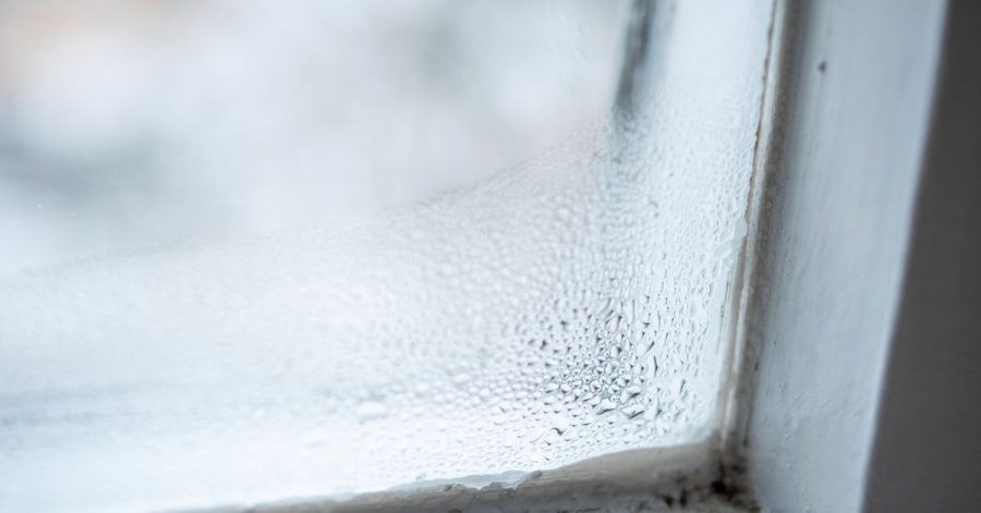 Ein Paradies für Schimmelpilze: Bildet sich am Fenster Kondenswasser, beträgt die Luftfeuchtigkeit in dem Mikroklima dort schon 100 Prozent.