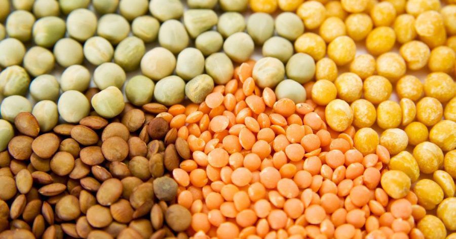 Hülsenfrüchte gelten als lecker und gesund - und halten sich oft lange.