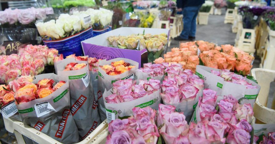 Jede Menge Rosen warten darauf, verschenkt zu werden.
