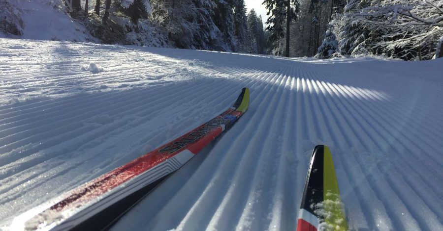 Auf Skier durch den verschneiten Winterwald - wie hier im Fichtelgebirge: Langlauf ist längst kein Sport mehr für Rentner, sondern hip.