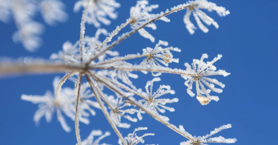 Erst richtig kalt, dann «eine signifikante Wetterumstellung»: Das Wetter in Deutschland wird milder.