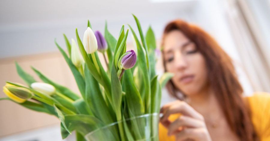 Tulpen in der Vase können weiterwachsen.