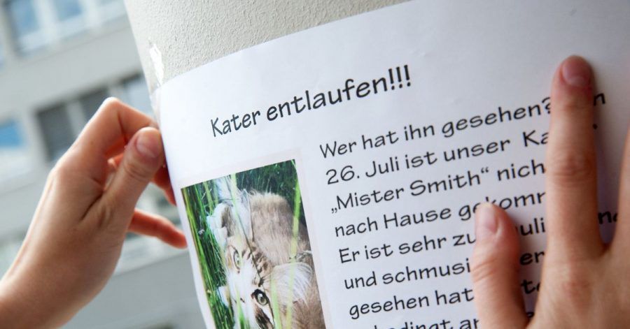 Mit Suchplakaten kann man auf vermisste Tiere in der Nachbarschaft aufmerksam machen.