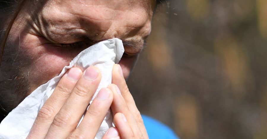 Niesreiz, laufende Nase und tränende Augen zählen zu den typischen Heuschnupfensymptomen.