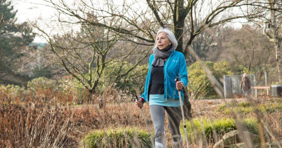 Regelmäßige Bewegung tut nicht nur den Muskeln und Gelenken gut. Auch das Gehirn profitiert von den Fitnesseinheiten.