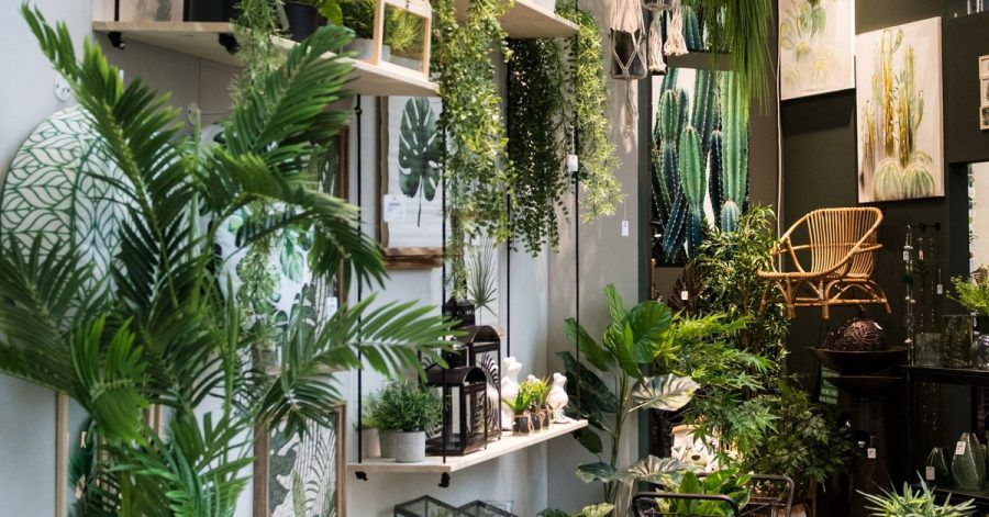 «Urban Jungle» ist angesagt: bei dem wilden Mix von Grün ist wichtig, dass alle Pflanzen die gleichen Ansprüche an Licht und Pflege haben.