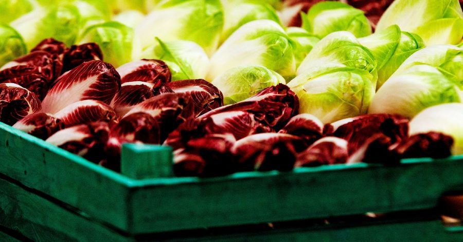 Kombiniert mit Äpfeln, Fenchel oder Honig ist Chicorée weniger bitter.