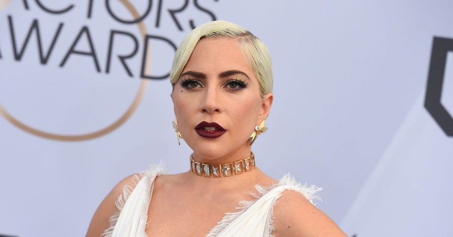 Lady Gaga kann aufatmen: Ihr Hunde sind zurück.