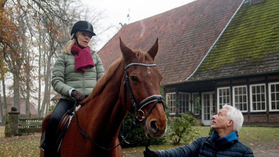 "Rote Rosen": Thomas versucht mit Hilfe seiner Pferdetherapie, Mona Mut zu machen (cg/spot)