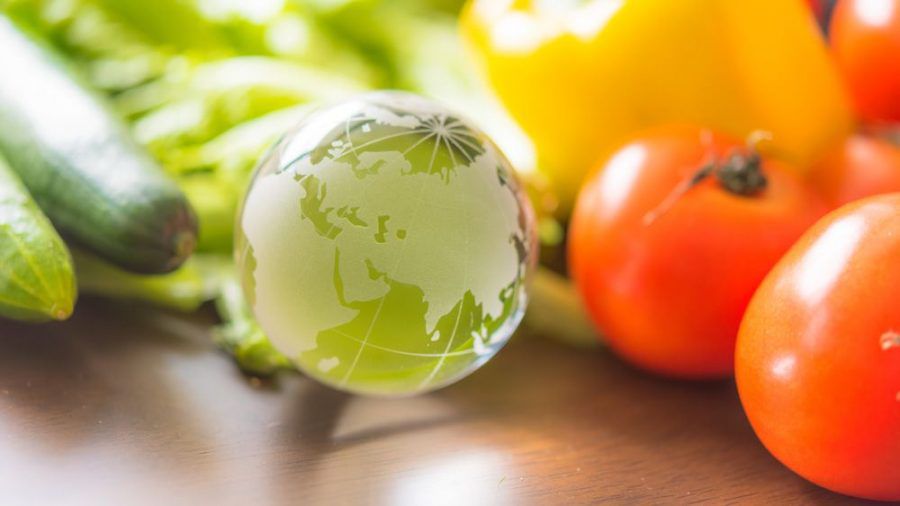 Wissenschaftler haben die "Planetary Health Diet" entwickelt. (kms/spot)
