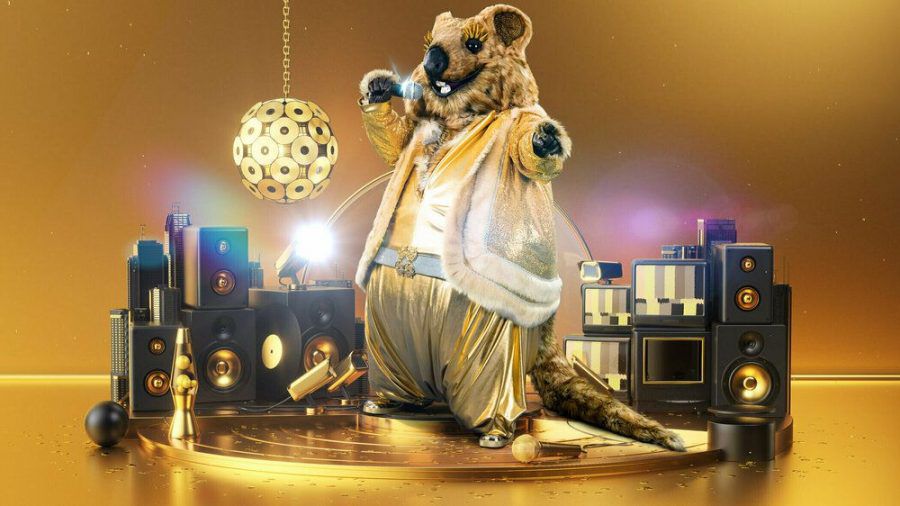 Das Quokka zeigt sich als goldiger DJ-Nager. (jom/spot)