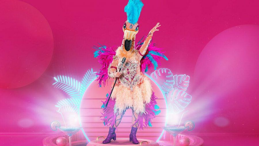 Der Flamingo tritt bei "The Masked Singer" an (hub/spot)