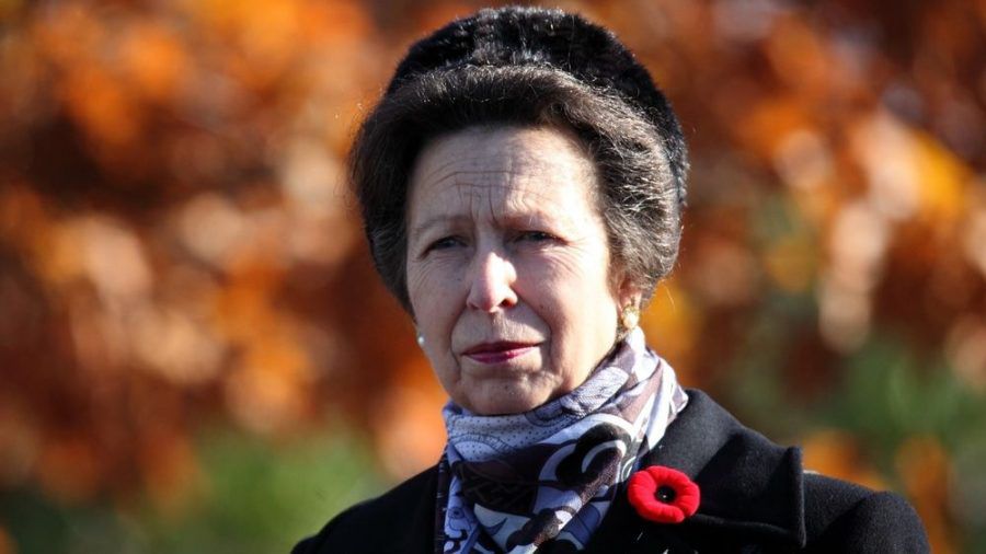Prinzessin Anne ist die einzige Tochter der Queen. (ili/spot)