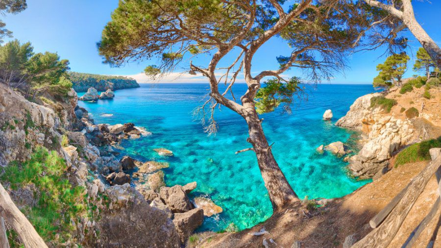 Ist ein Urlaub auf Mallorca bald nur noch mit Corona-Impfung möglich? (dr/spot)
