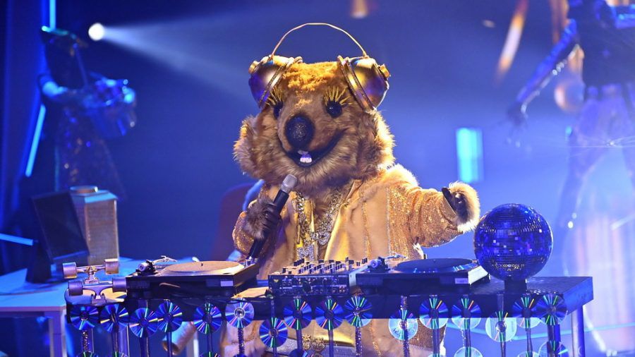 "The Masked Singer": Wer steckt hinter dem Quokka-Kostüm? (ili/spot)