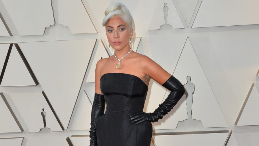 Zwei Hunde von Lady Gaga wurden entführt. (jom/spot)