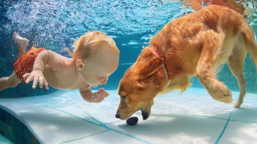 Eine Hundetrainerin als Super-Nanny: Was bei RTL schief lief