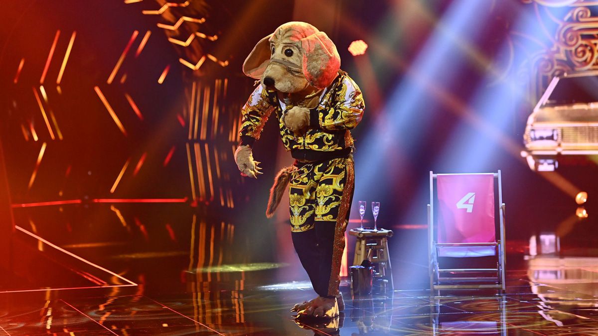 "The Masked Singer" mit Wacheldackel, Weintraube und Wasserleiche