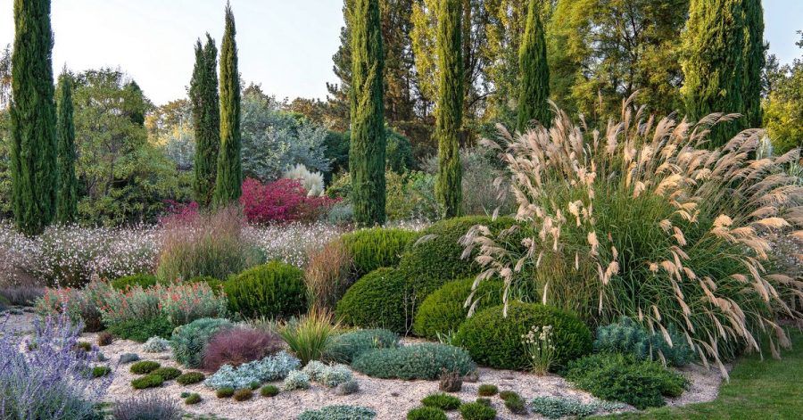 2019 veränderte Gartendesigner Peter Janke in seinem Garten die Bepflanzung - weg vom Rasen, der im Sommer vertrocknete, hin zu trockenheitsverträglichen Pflanzen und Sandmulch.