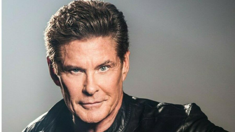 Für David Hasselhoff wird mit der Zusammenarbeit "ein Traum wahr". (stk/spot)