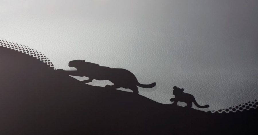 Folgt der Mama auf der Pfote: Ein Katzengespann geht entlang des schwarzen Scheibenrands bei Jaguar auf Pirsch.
