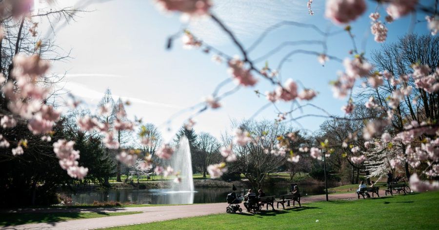 Menschen sitzen auf Bänken im Stadtgarten in Essen.