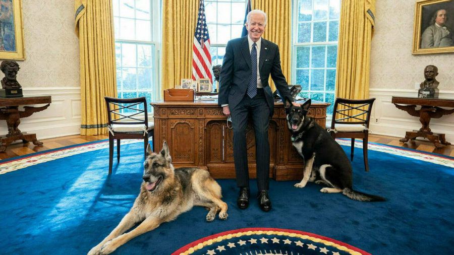 Joe Biden mit seinen Hunden im Weißen Haus (hub/spot)