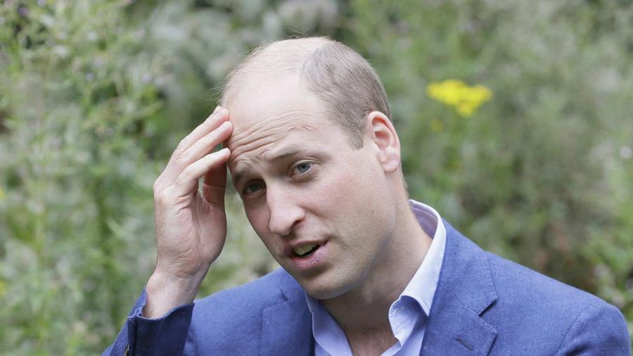 Eine offenbar entzückende Glatze: Prinz William hat trotz seiner jungen Jahre nicht mehr viel Haarpracht zu bieten. (dr/spot)