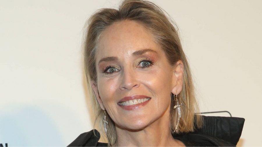 Sharon Stone: hat Leonardo DiCaprio ihr seine Karriere zu verdanken?