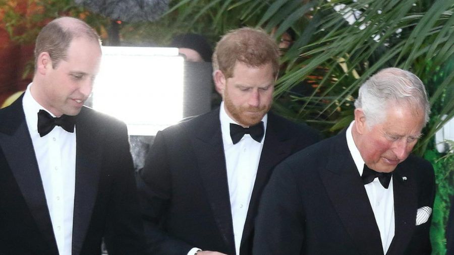 Können sich Prinz William (v.l.n.r.), Prinz Harry und Prinz Charles wieder versöhnen? (cos/spot)