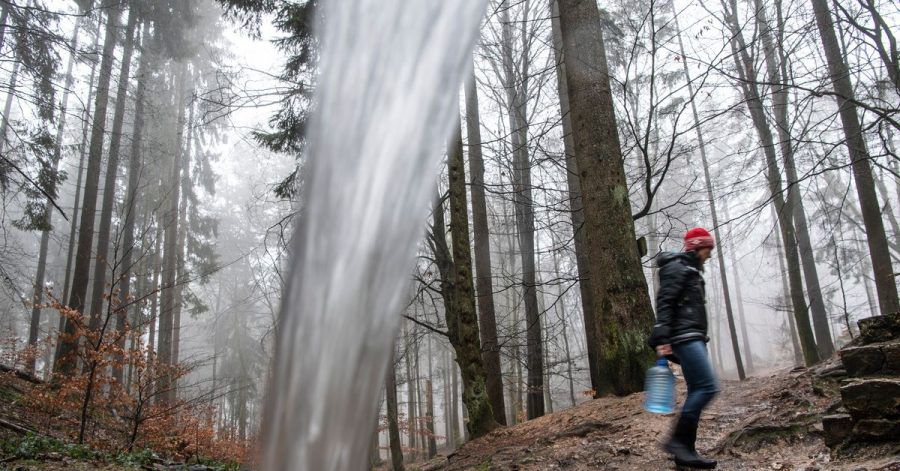 In einem breiten Strahl fließt das Wasser der Kahle Born Quelle aus einem Rohr in den Wald bei Kiedrich. Jeden Tag kommen unzählige Menschen in den Wald, um das Quellwasser abzufüllen.