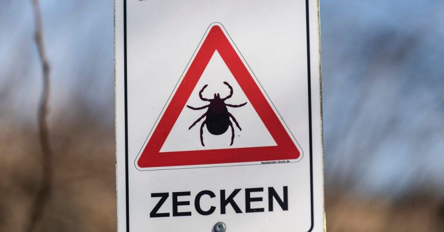 Durch den Klimawandel beginnt die Zecken-Saison früher. Damit nimmt auch die Zahl der FSME-Fälle weiter zu.