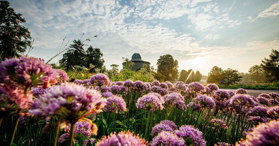 Ein wichtiger Standort für die Bundesgartenschau 2021 ist das Erfurter Garten- und Ausstellungs-Gelände (ega).