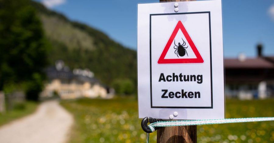 Wer so ein Schild beim Wandern sieht, sollte sich am Abend besonders gut nach Zecken absuchen.