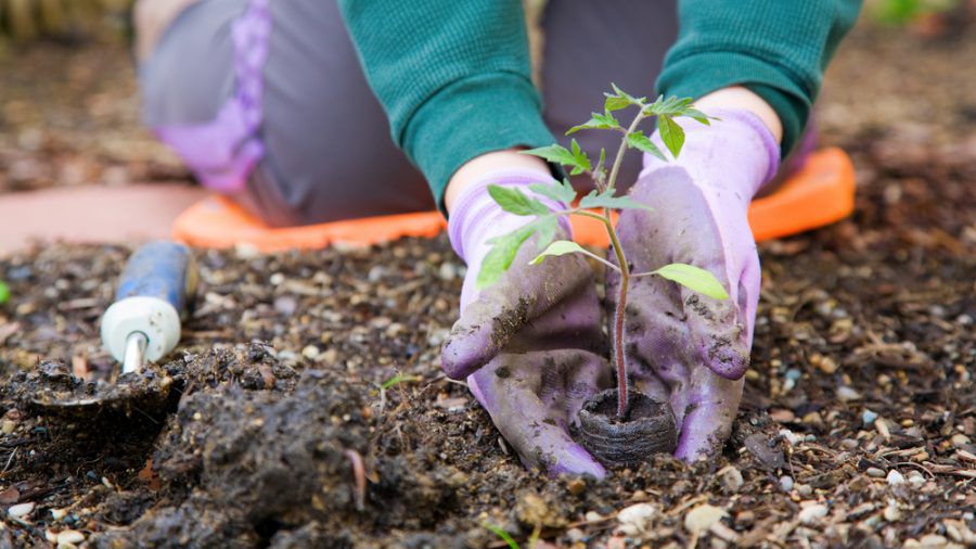 Wer seinen Garten schon im März pflegt, hat das restliche Jahr mehr von ihm. (sob/spot)
