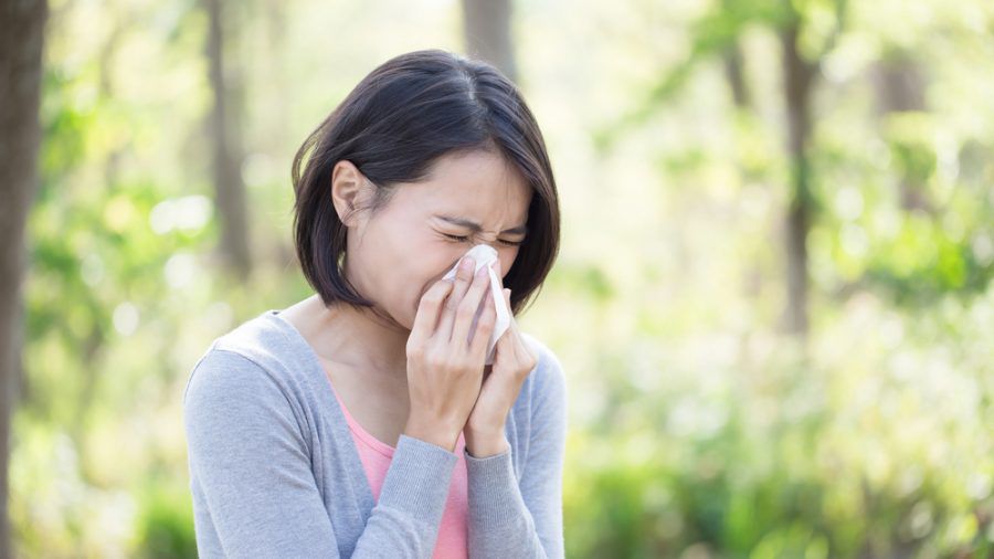 Niesen und Schnupfen sind typische Symptome einer Pollenallergie. (ncz/eee/spot)