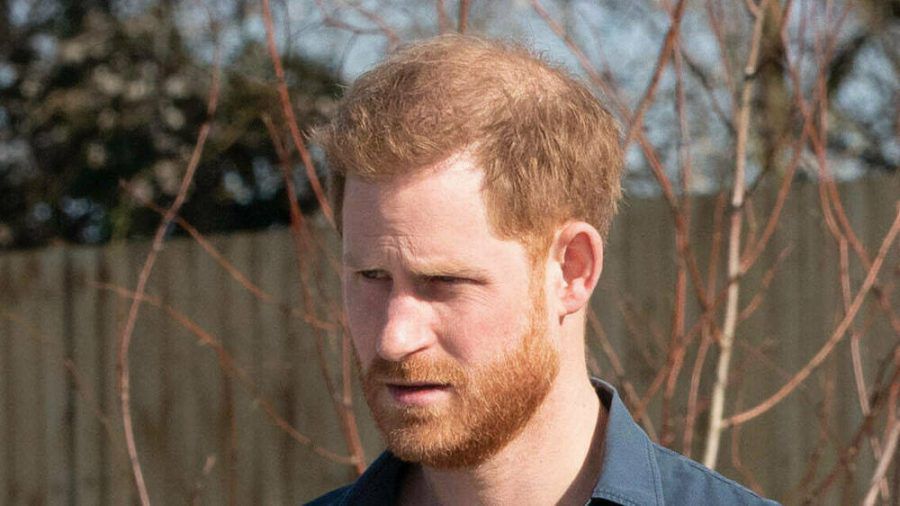 Prinz Harry ist mit seiner Familie in die USA ausgewandert. (hub/spot)