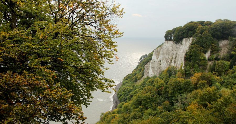 Die berühmten Kreidefelsen locken jedes Jahr viele Besucher in Rügens Nationalpark Jasmund - da will die Natur besonders geschützt werden.