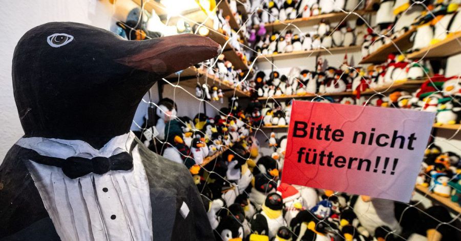 Ob als Plüschtier, als Sammlerfigur oder auf Krawatten - im Pinguin-Museum Cuxhaven wimmelt es vor Frackträgern.