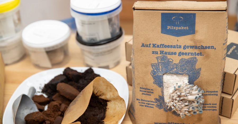 Alter Kaffeesatz eignet sich für die Pilzzucht. Mit dem Set von Ralph Haydl lassen sich darauf verschiedene Pilzsorten anbauen.