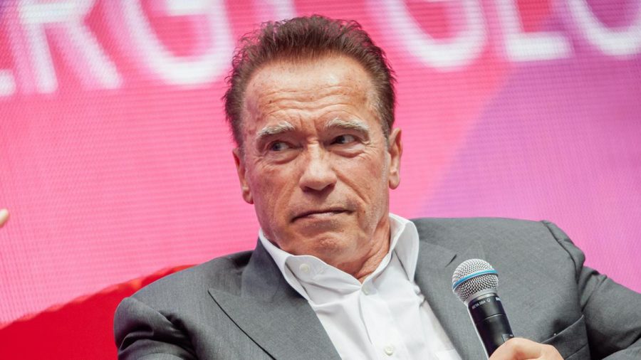 Arnold Schwarzenegger setzt sich gegen Umweltverschmutzung und den Klimawandel ein. (wue/spot)