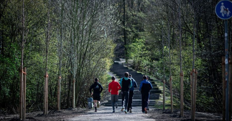 Eine Gruppe Jugendlicher beim Joggen in einem Wald.