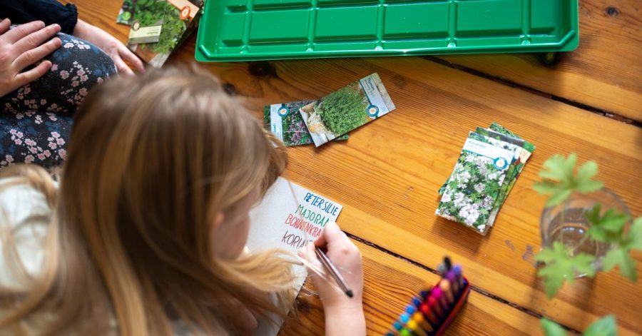 Bei dem Projekt können Kinder viel über das Wachstum von Pflanzen lernen.