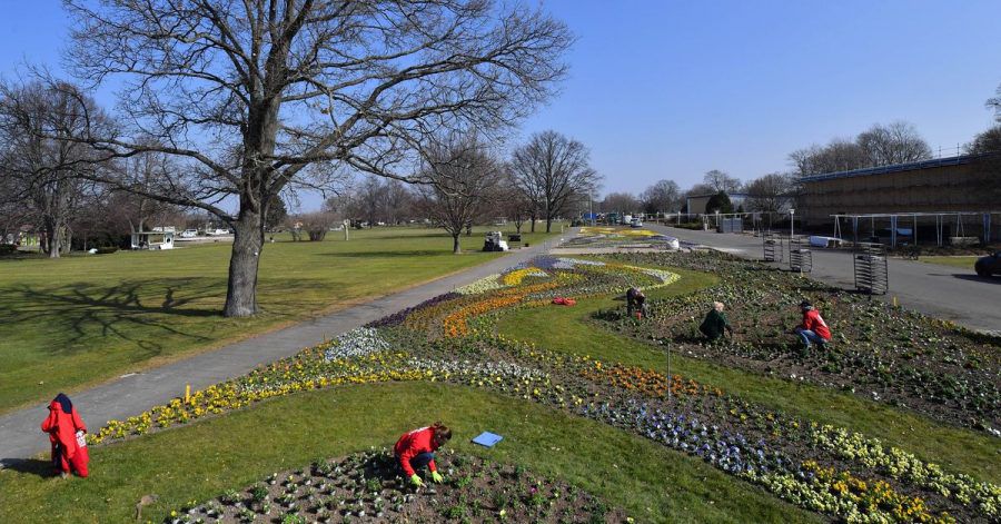 Auf dem Gelände der Bundesgartenschau in Erfurt soll auch dein Modellschulgarten entstehen.