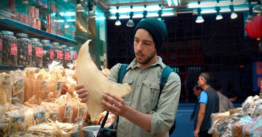 Filmemacher Ali Tabrizi in einer Szene der Dokumentation "Seaspiracy" (undatierte Filmszene).